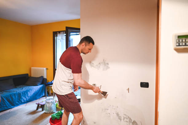 Best Mold Testing and Inspection Services in Dunellen, NJ